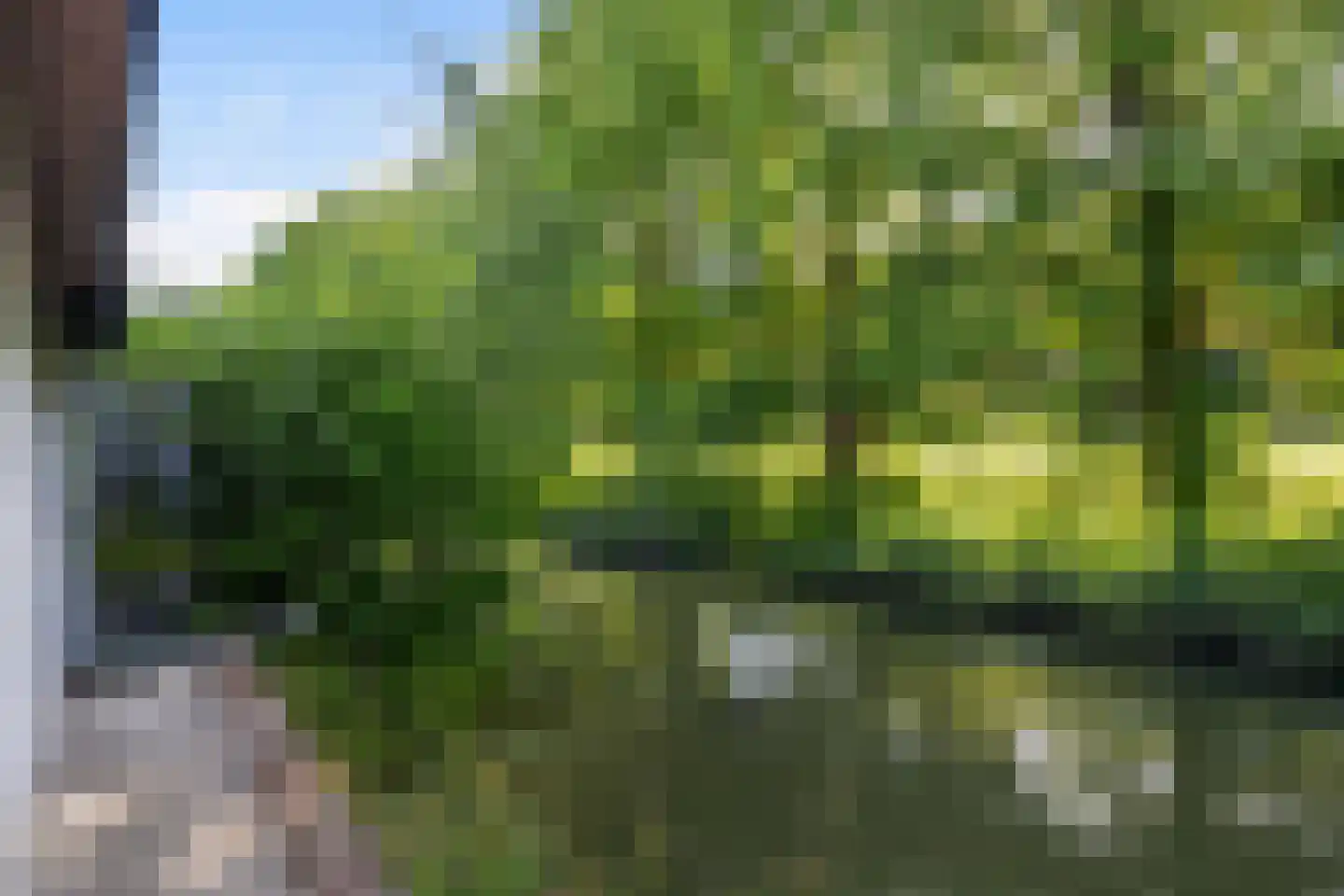 Trombonedreef 14 Harderwijk thumbnail 42