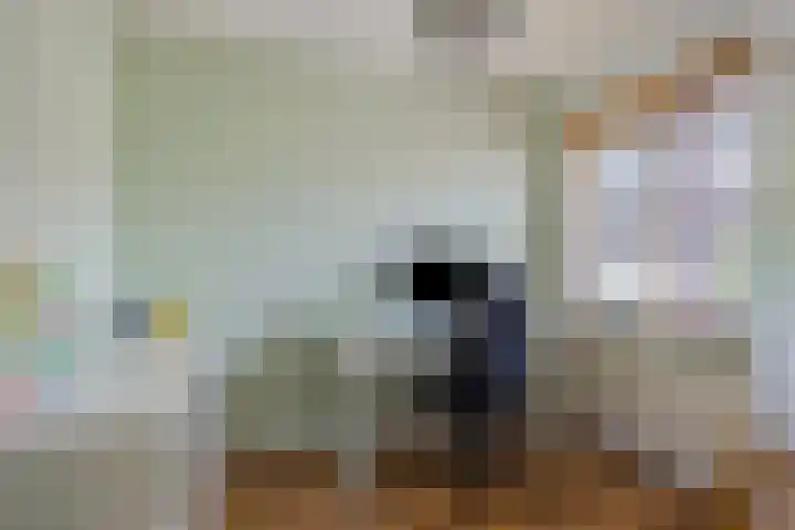 Trombonelaan 1 Oldenzaal thumbnail 18
