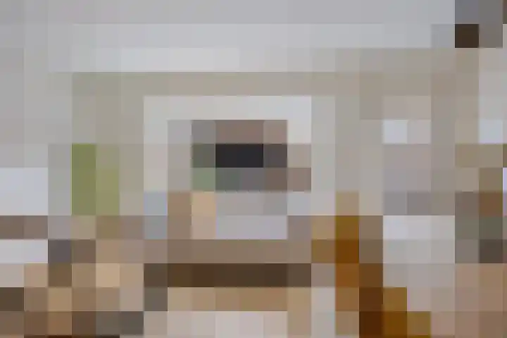 Trombonelaan 1 Oldenzaal thumbnail 4