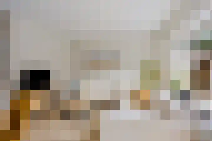 Trombonelaan 1 Oldenzaal thumbnail 6