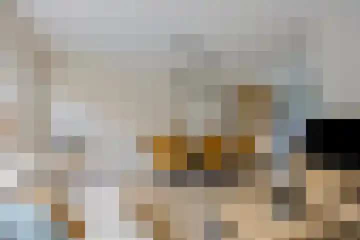 Trombonelaan 1 Oldenzaal thumbnail 7