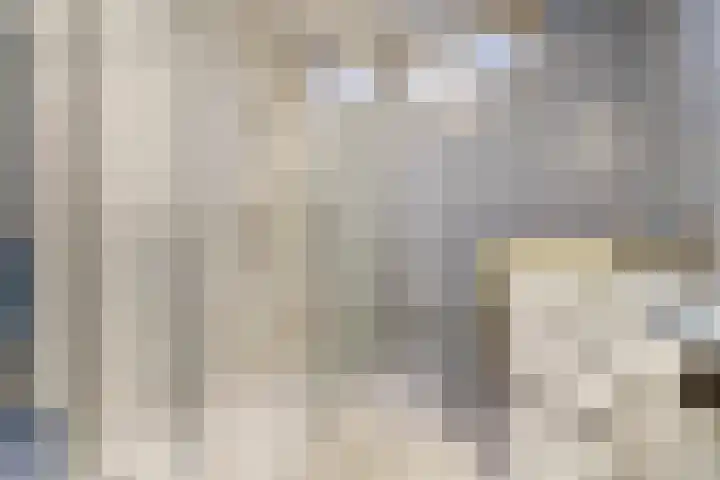 Trombonestraat 12 Amersfoort thumbnail 12
