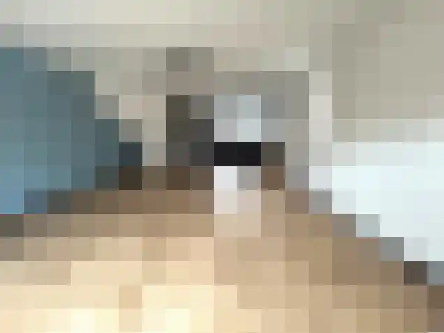 Trombonestraat 16 Eindhoven thumbnail 6