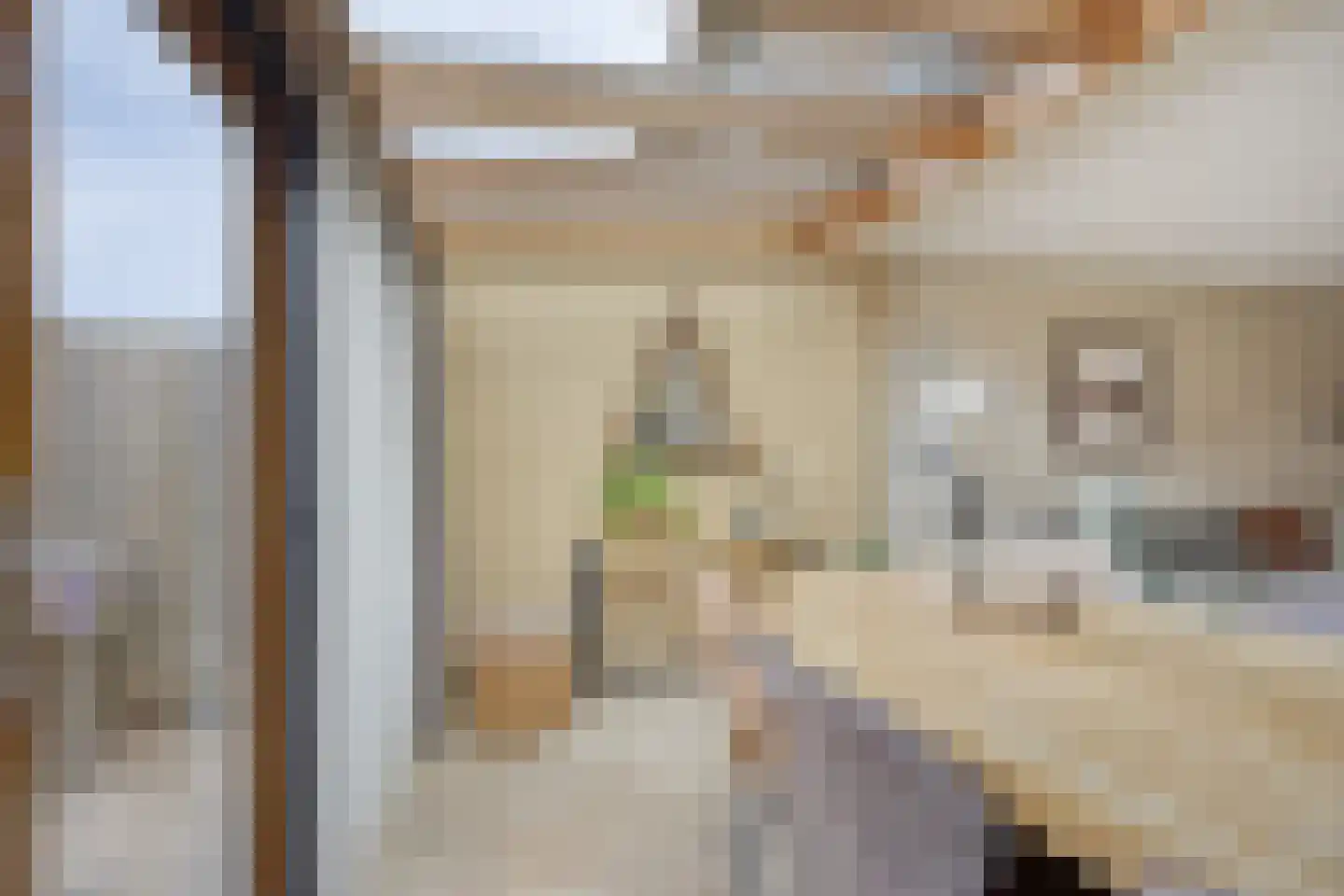 Trombonestraat 18 Spijkenisse thumbnail 12