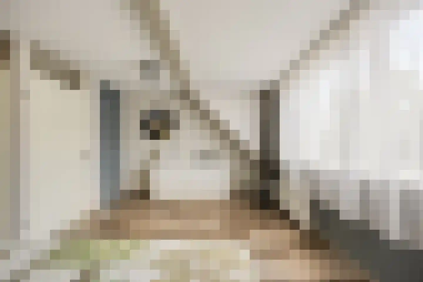 Trombonestraat 18 Spijkenisse thumbnail 20