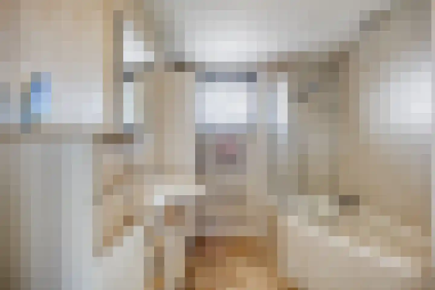 Trombonestraat 18 Spijkenisse thumbnail 21