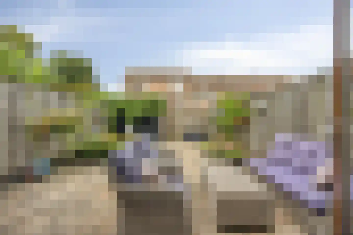 Trombonestraat 18 Spijkenisse thumbnail 29