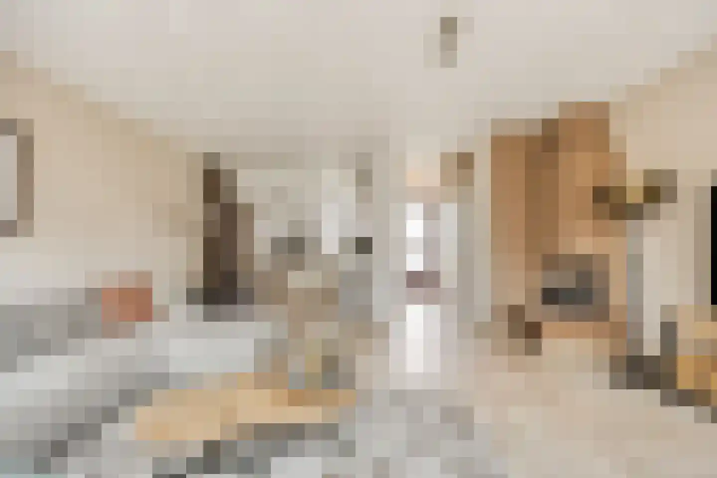 Trombonestraat 18 Spijkenisse thumbnail 5