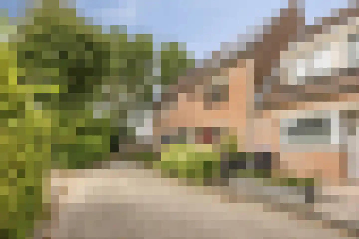 Trombonestraat 18 Spijkenisse thumbnail 6