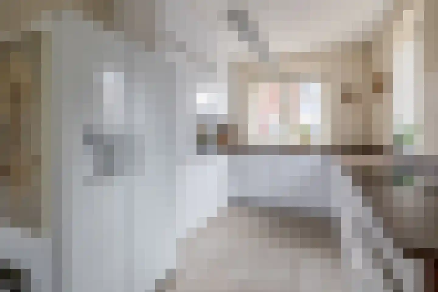Trombonestraat 2 Eindhoven thumbnail 20