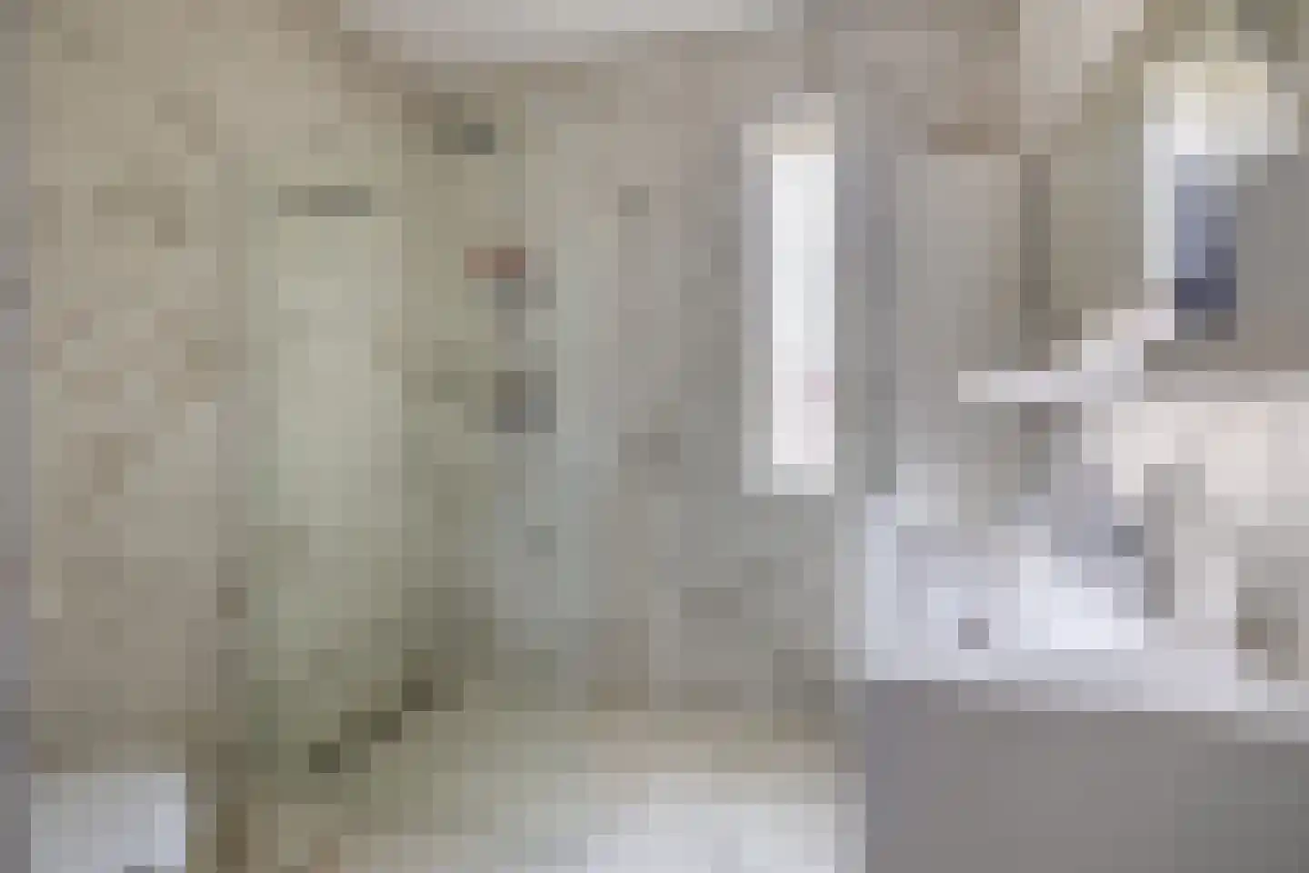 Trombonestraat 2 Eindhoven thumbnail 27