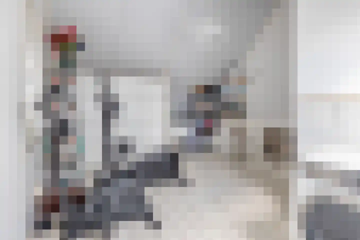 Trombonestraat 2 Eindhoven thumbnail 32
