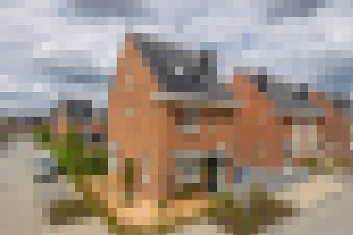 Trombonestraat 2 Eindhoven thumbnail 39