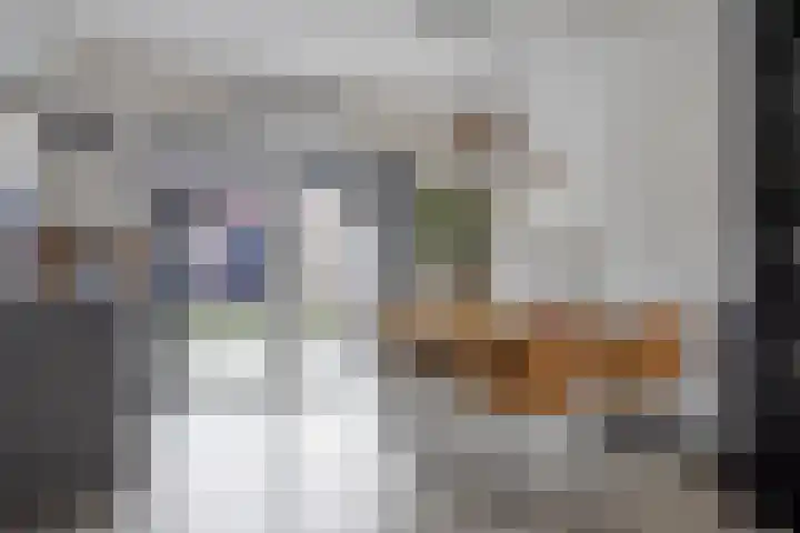 Trombonestraat 21 Uden thumbnail 11