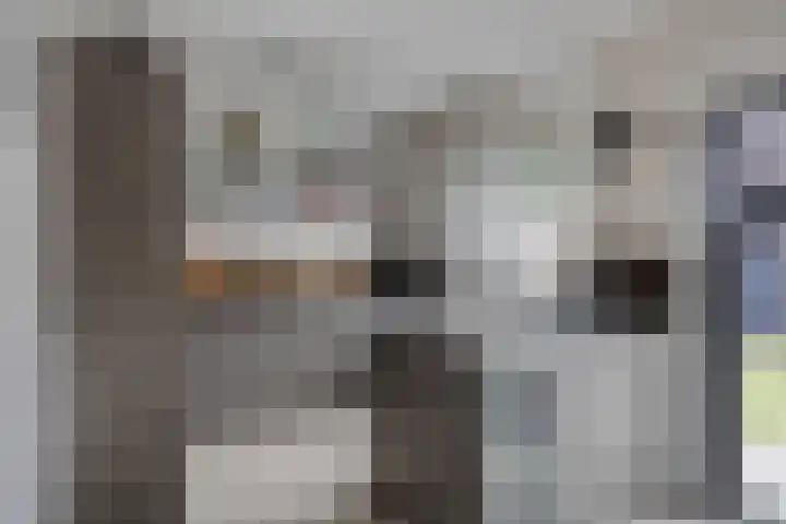 Trombonestraat 21 Uden thumbnail 14
