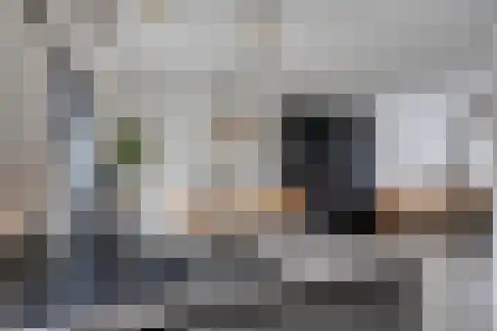Trombonestraat 21 Uden thumbnail 15