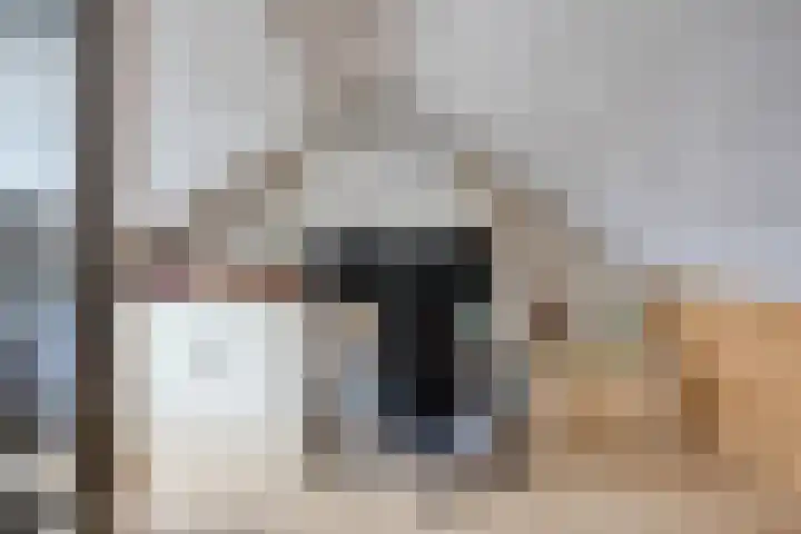 Trombonestraat 21 Uden thumbnail 28