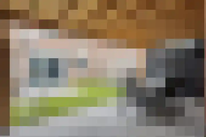 Trombonestraat 21 Uden thumbnail 33