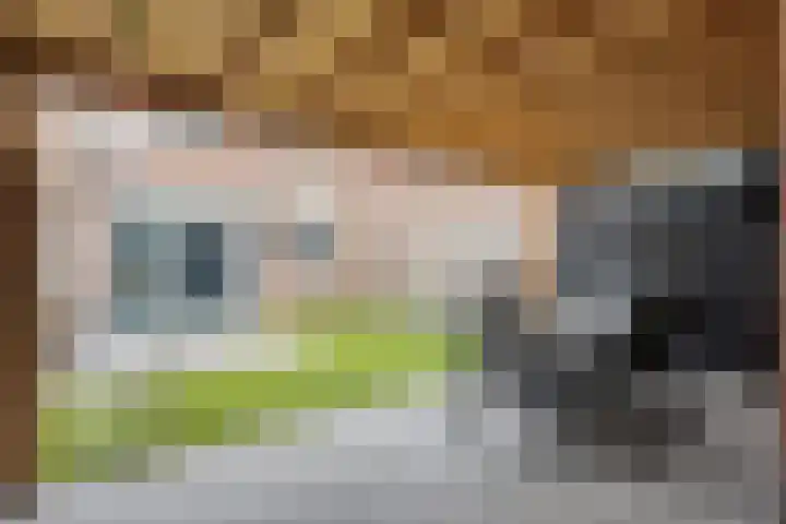 Trombonestraat 21 Uden thumbnail 4