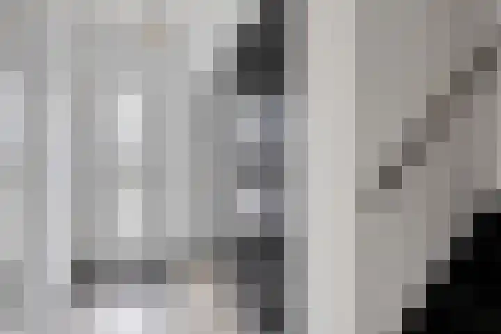 Trombonestraat 21 Uden thumbnail 6