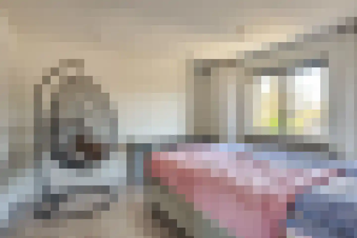 Trombonestraat 23 Uden thumbnail 11