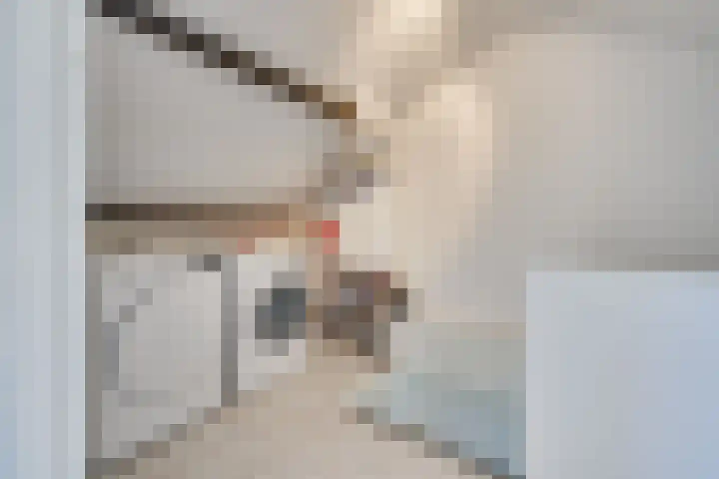 Trombonestraat 23 Uden thumbnail 17
