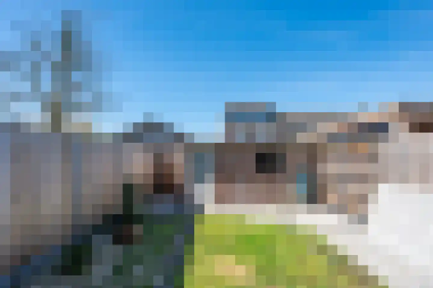 Trombonestraat 23 Uden thumbnail 21