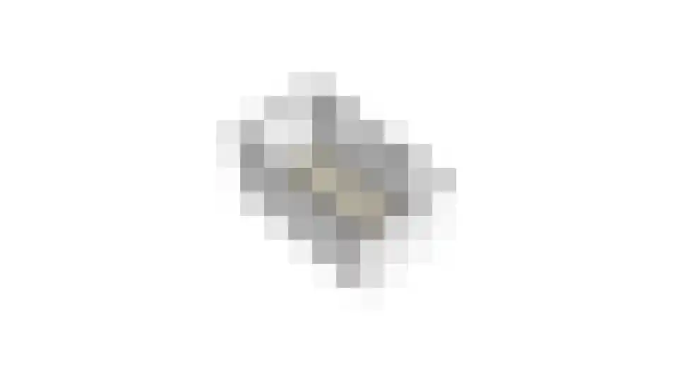 Trombonestraat 23 Uden thumbnail 32