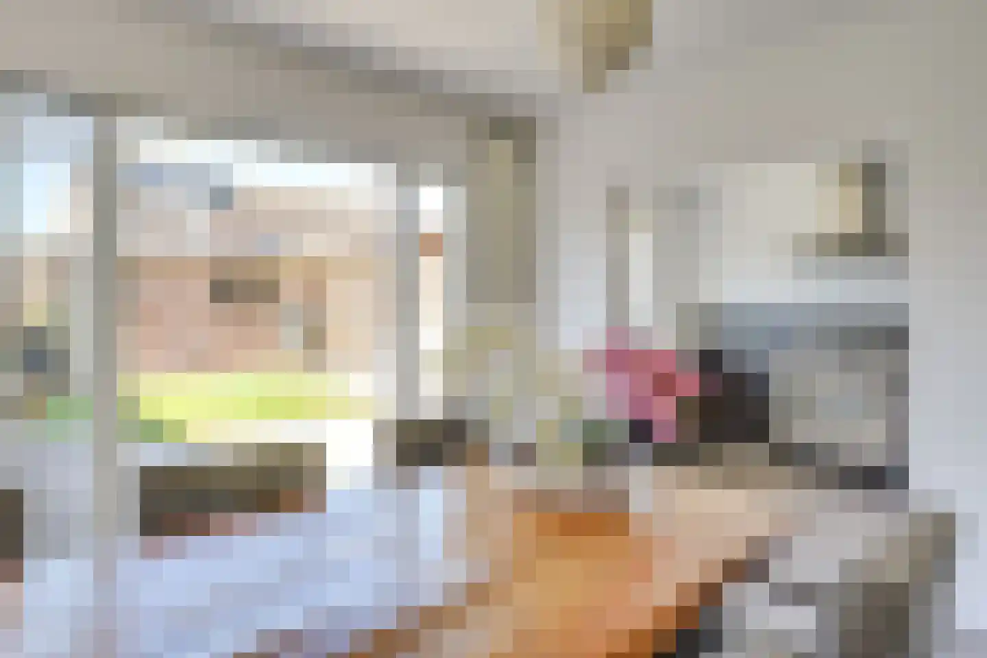 Trombonestraat 23 Uden thumbnail 8