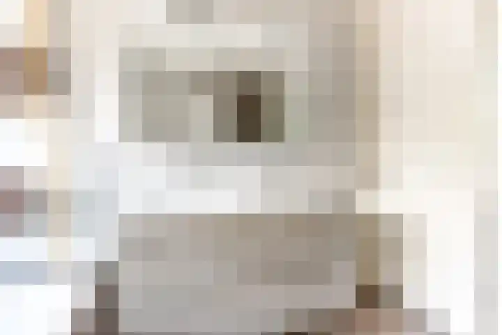 Trombonestraat 32 Almere thumbnail 36