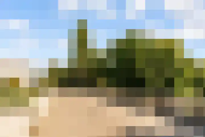 Trombonestraat 32 Almere thumbnail 69