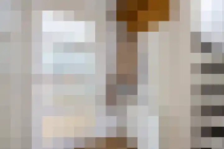 Trombonestraat 6 Beek en Donk thumbnail 10