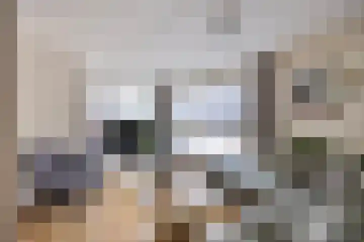 Trombonestraat 6 Beek en Donk thumbnail 13