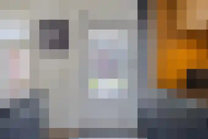 Trombonestraat 6 Beek en Donk thumbnail 22