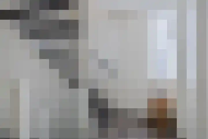 Trombonestraat 6 Beek en Donk thumbnail 27