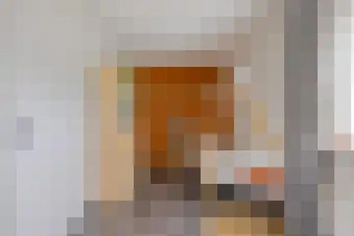 Trombonestraat 6 Beek en Donk thumbnail 30