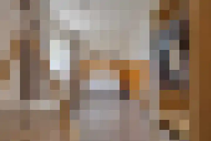 Trombonestraat 6 Beek en Donk thumbnail 31