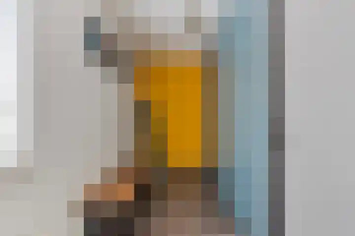 Trombonestraat 6 Beek en Donk thumbnail 32