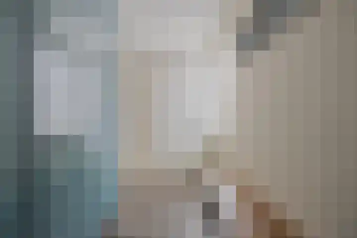 Trombonestraat 6 Beek en Donk thumbnail 33