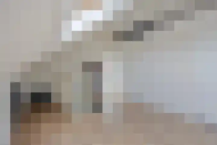 Trombonestraat 6 Beek en Donk thumbnail 38