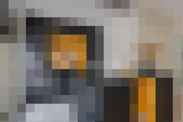 Trombonestraat 6 Beek en Donk thumbnail 4