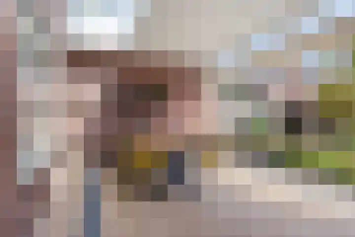 Trombonestraat 6 Beek en Donk thumbnail 41