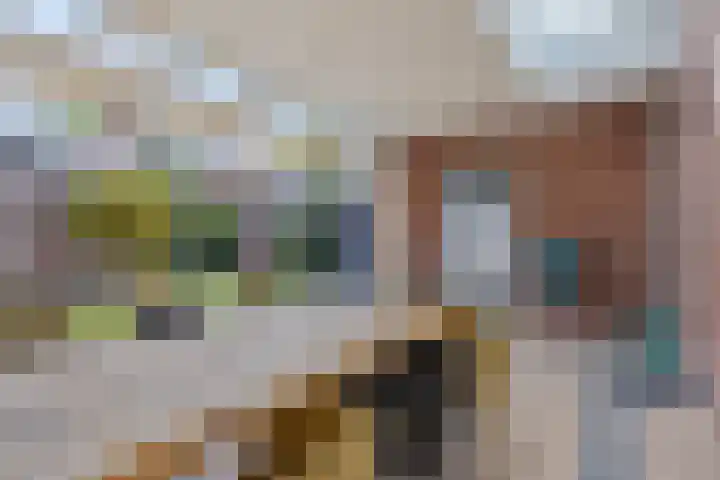 Trombonestraat 6 Beek en Donk thumbnail 42