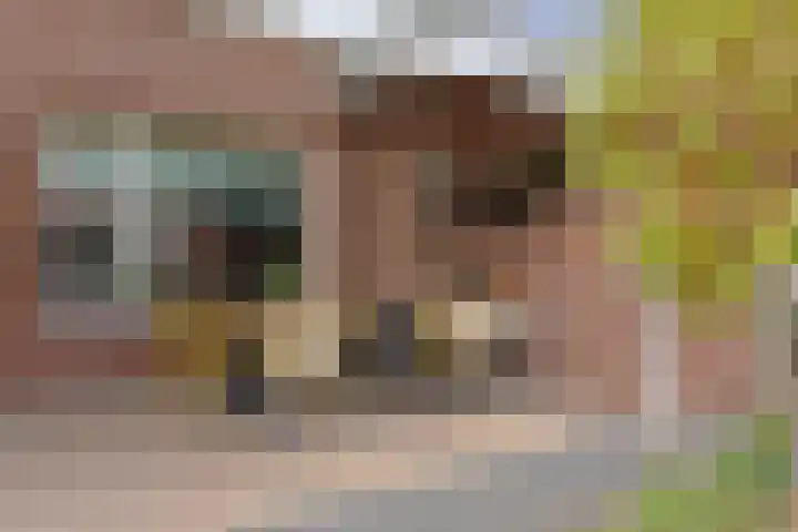 Trombonestraat 6 Beek en Donk thumbnail 43