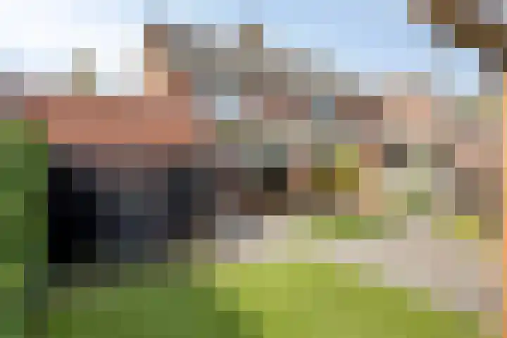 Trombonestraat 6 Beek en Donk thumbnail 45