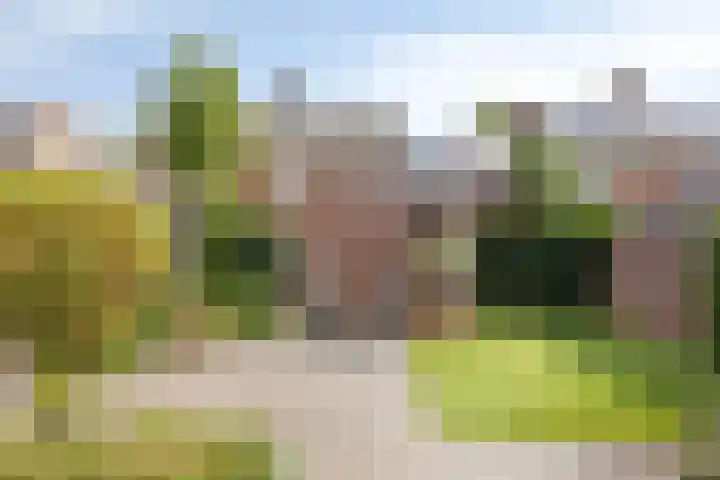 Trombonestraat 6 Beek en Donk thumbnail 47