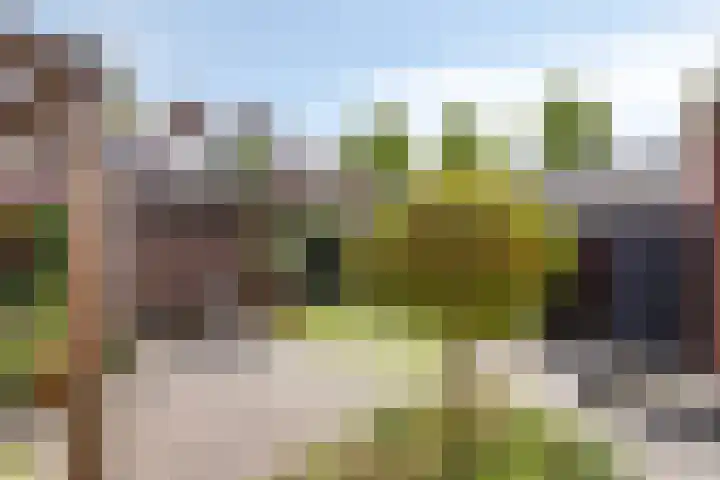 Trombonestraat 6 Beek en Donk thumbnail 48