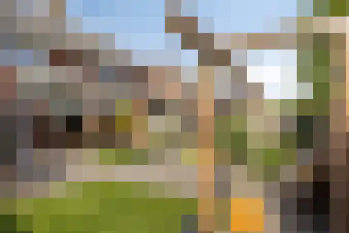 Trombonestraat 6 Beek en Donk thumbnail 49