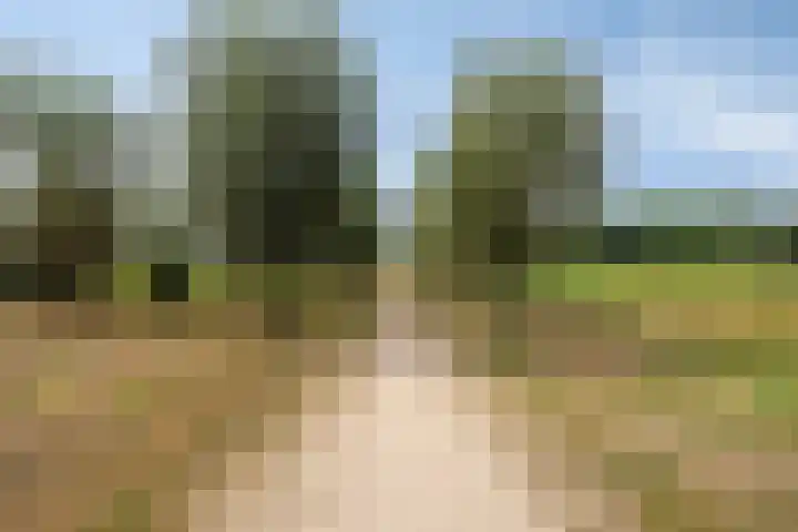 Trombonestraat 6 Beek en Donk thumbnail 56