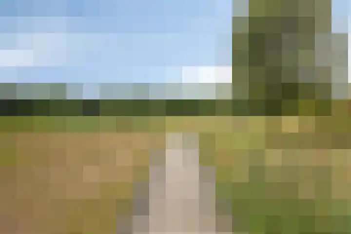 Trombonestraat 6 Beek en Donk thumbnail 57